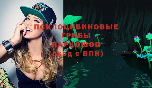 spice Белоозёрский