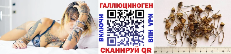 Псилоцибиновые грибы MAGIC MUSHROOMS kraken маркетплейс Енисейск